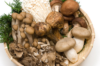 mushrooms_s